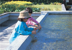 修景池は子どもが水を触ることができる高さ